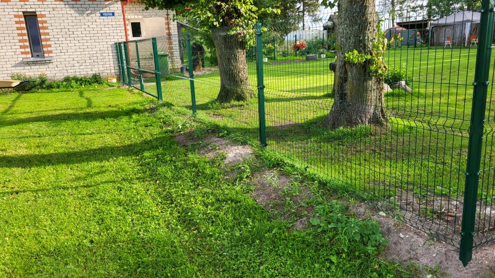 Advert image