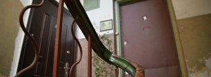 Featured blog