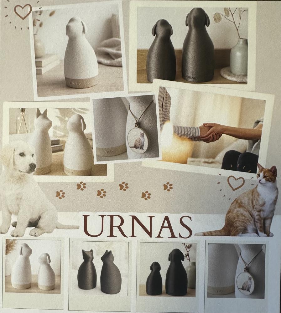 Advert image